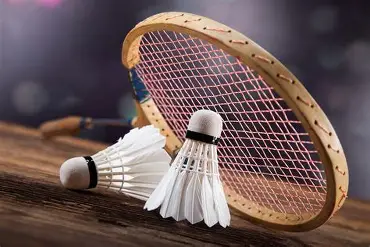 Badminton Equipment